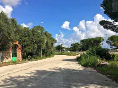 Si tratta di Villa Starita, una dimora ottocentesca che fino agli inizi degli anni 80 del secolo scorso � stata la sede del pi� antico circolo ippico pugliese, lo stesso che ha fatto conoscere l�equitazione a Bari